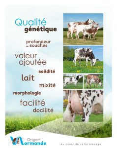 12 pages Origen Normande_9-7 Image représentant les valeurs d'Origen Normande