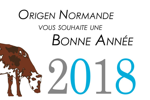 Origen Normande vous souhaite une bonne année 2018