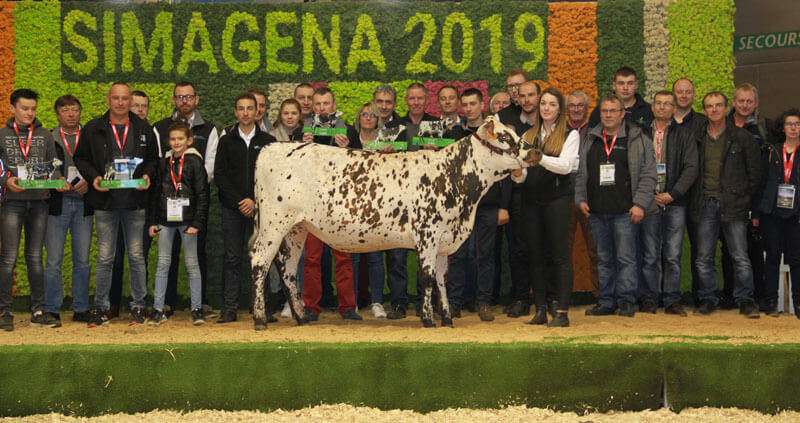 Génisse normande et l'équipe d'Origen Normande sur le podium du ring du simagena 2019