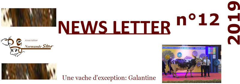 Bandeau de la newsletter n°12 de l'association Normande Star