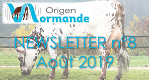 Haut de la Newsletter n°8 - Août 2019