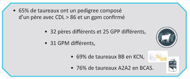 Zoom sur les générations des "O", des "P" et des "R" de notre gamme